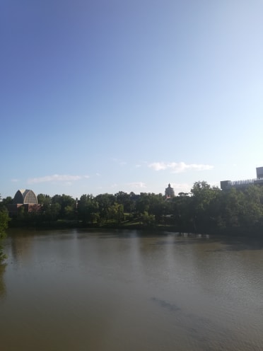 view of trees and buildings across genesee river
