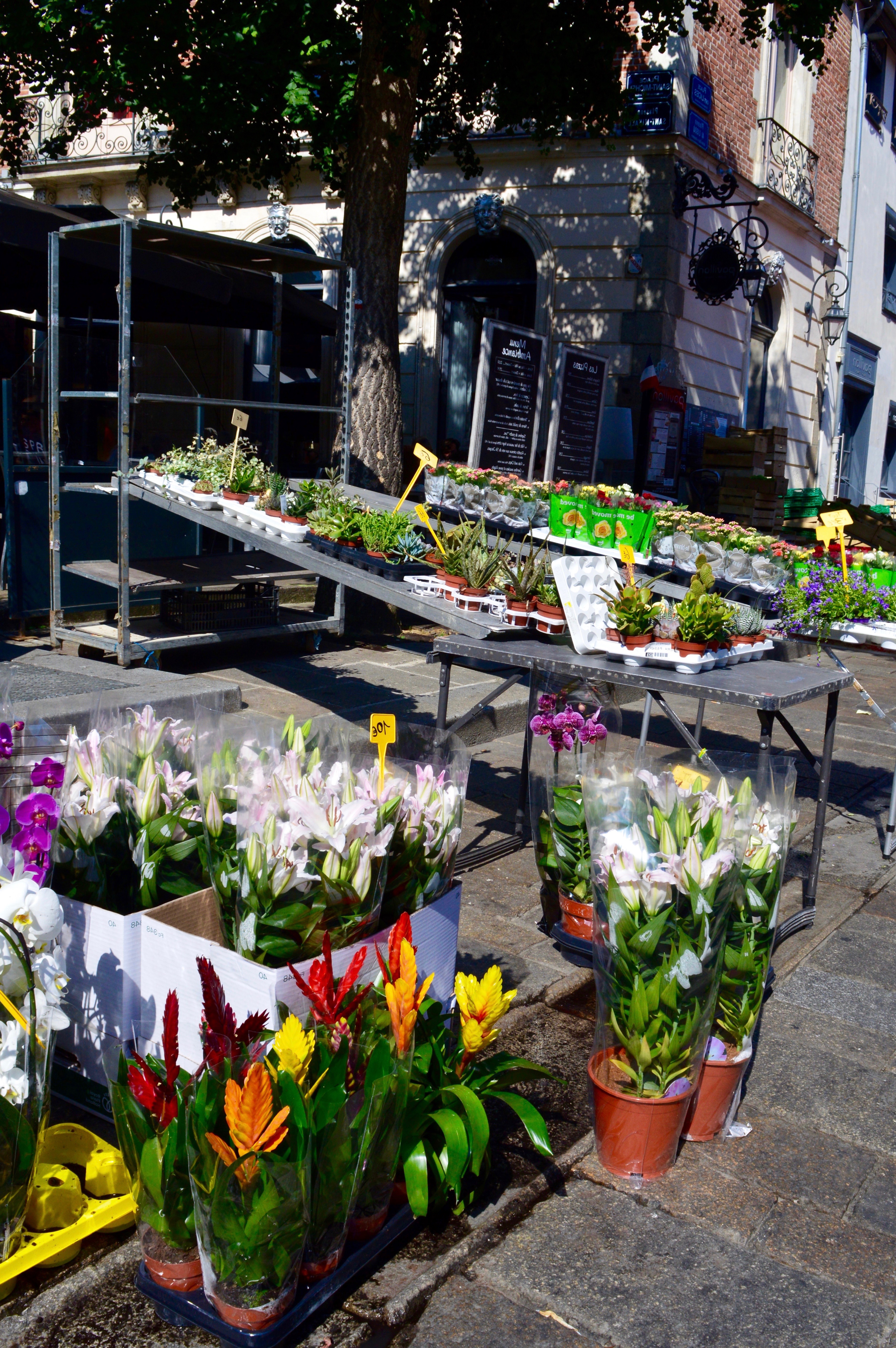 flowers on sale at outside market