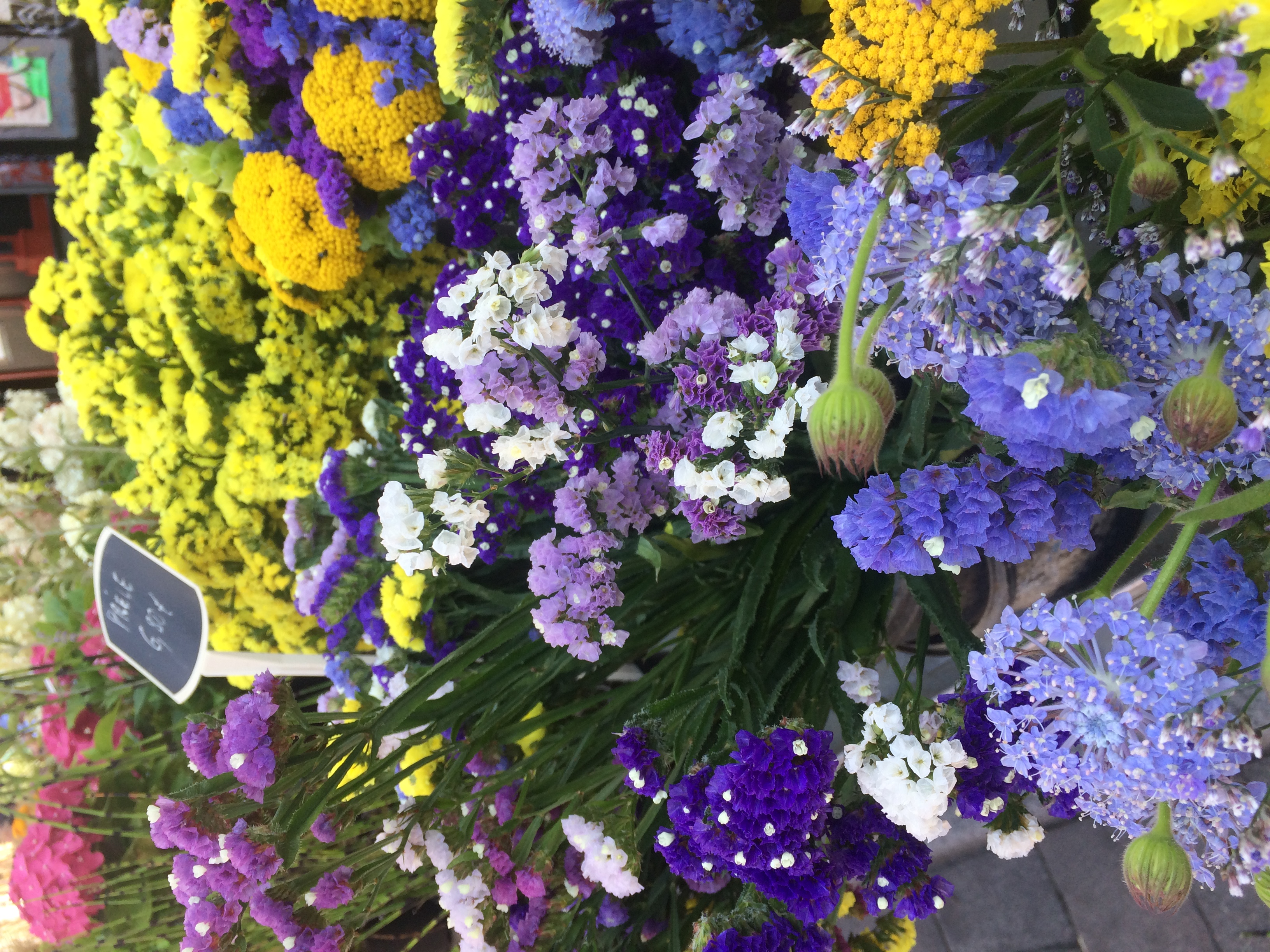 up close of flowers on sale at public market