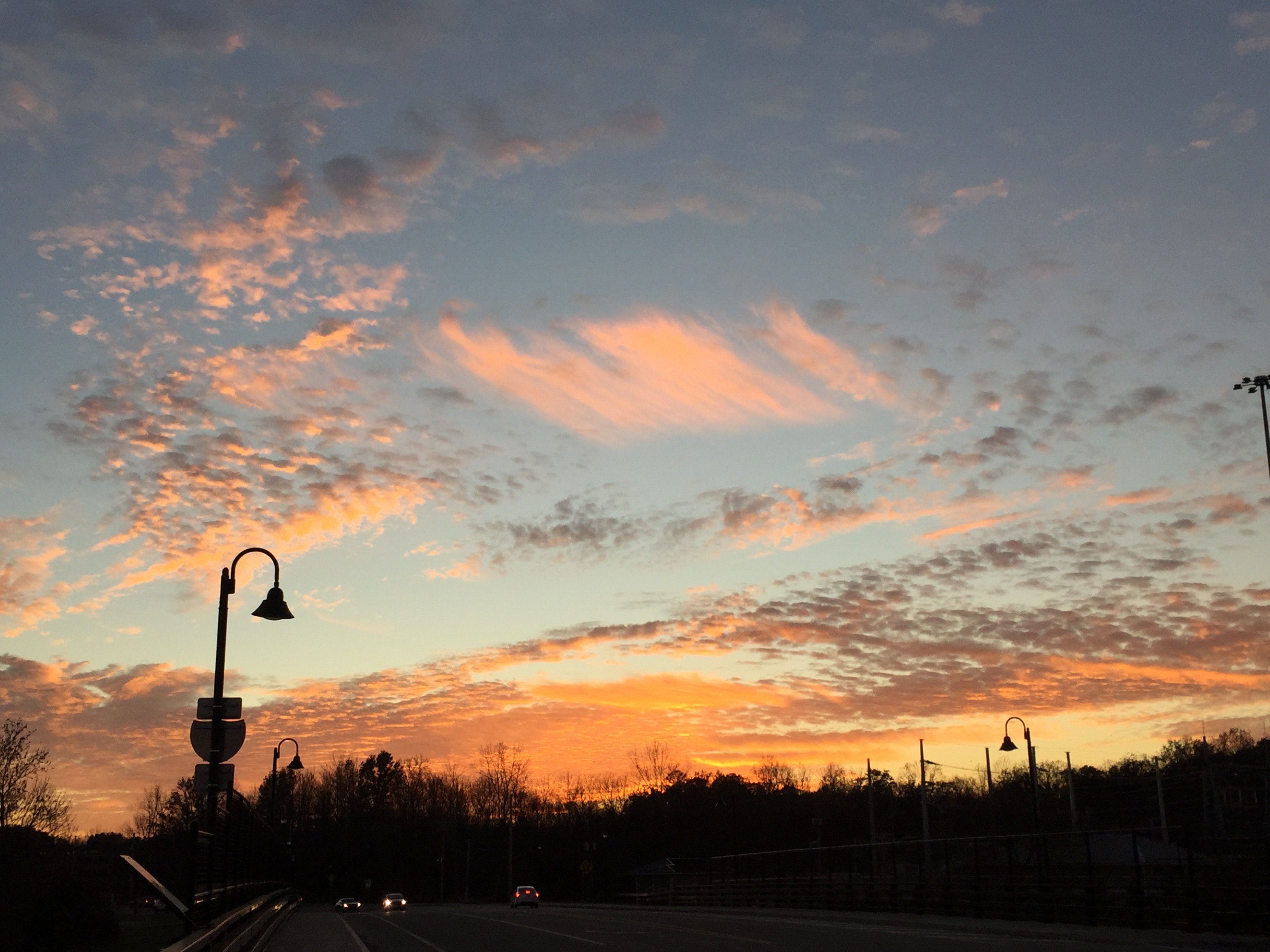 sky at sunset with silhouetted trees and street lamps