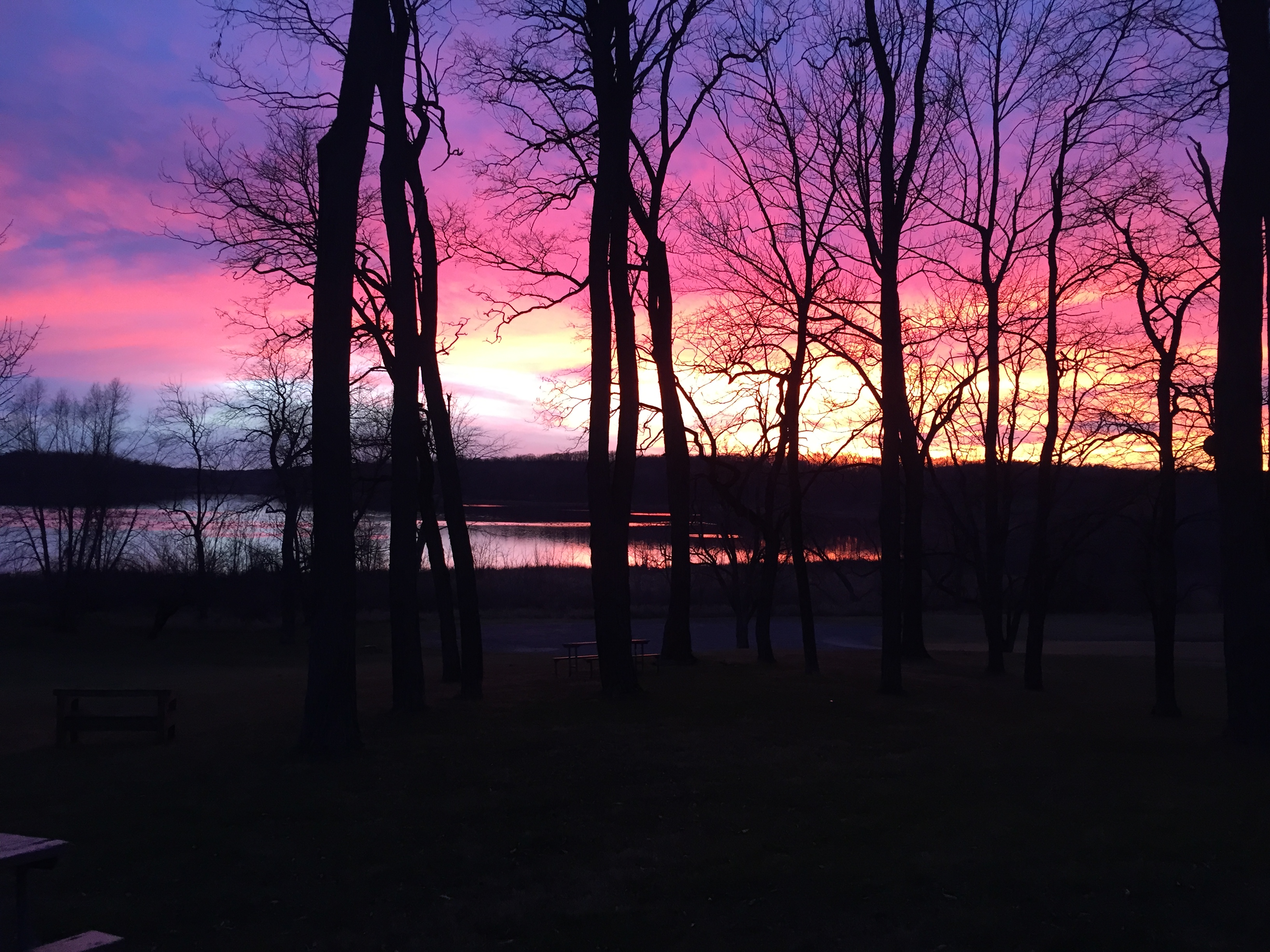 sunset near dusk with bare trees and a lake silhouetted by it