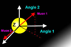 Z Boson and 2 muons
