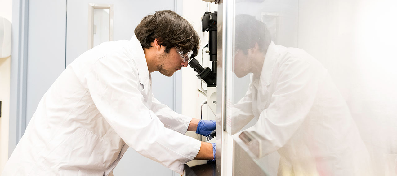 A public health major working in a lab looking into a microscope.