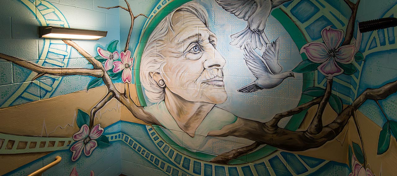 A mural of a woman and birds.