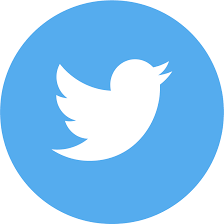 Twitter icon.