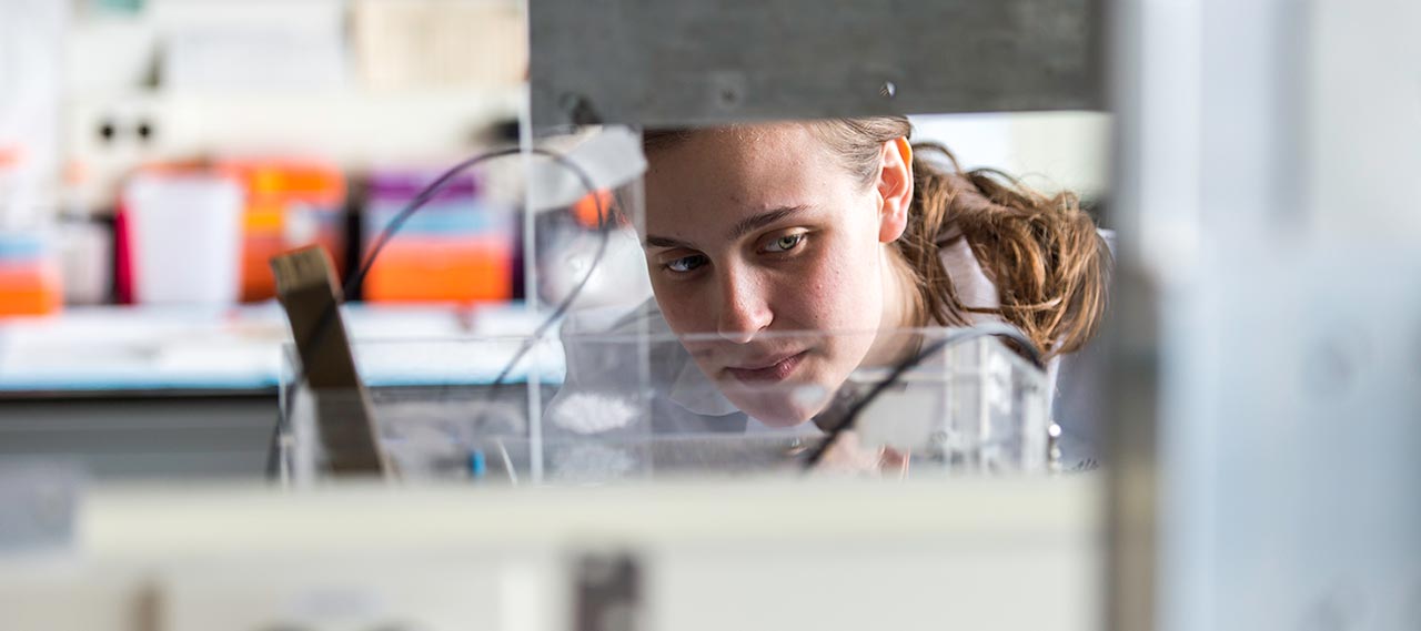 A student doing research in a lab.