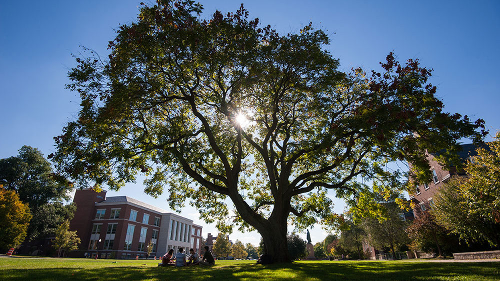 Students sitting under a tree on the Eastman Quad.